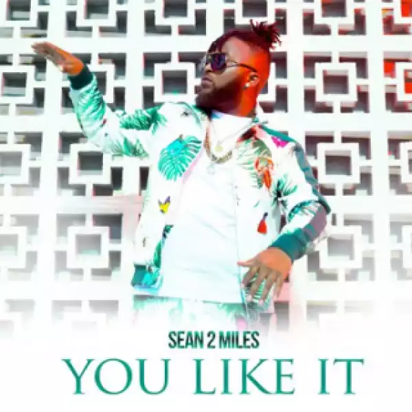 Instrumental: Sean2 Miles - You Like It